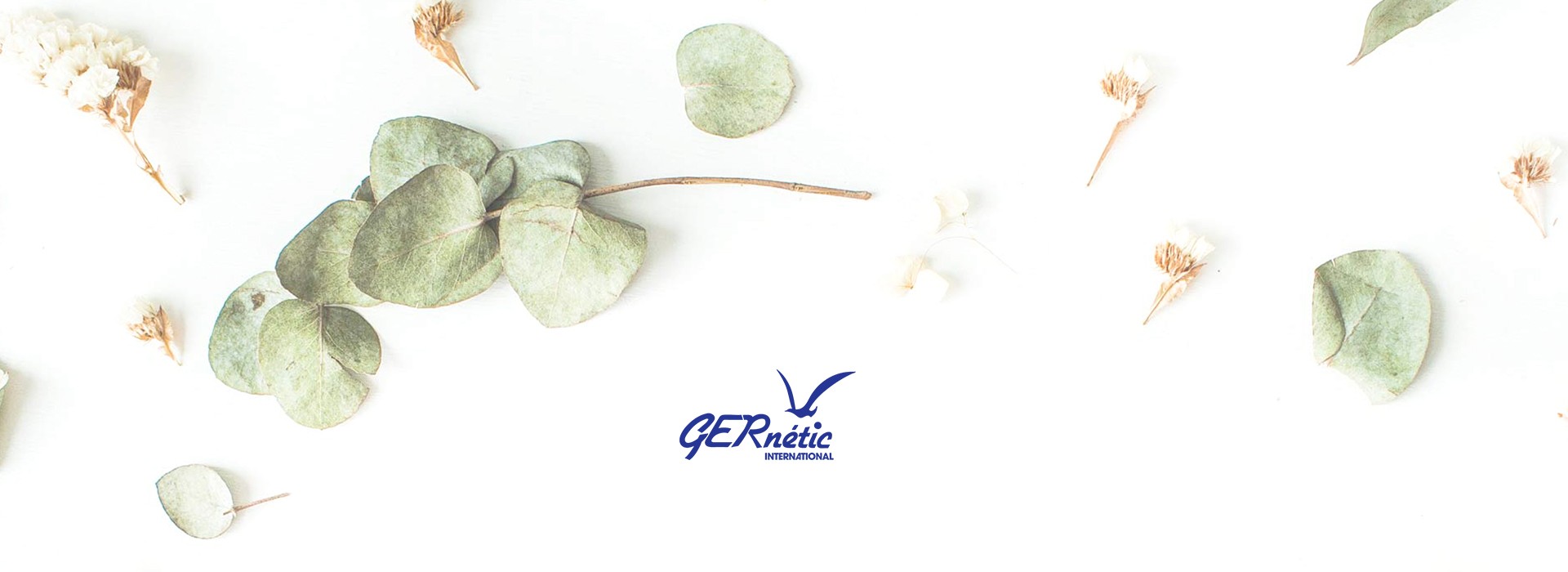 Productos Marina Gernetic